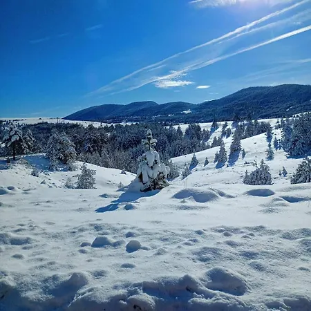Tornik Manor Apartamento