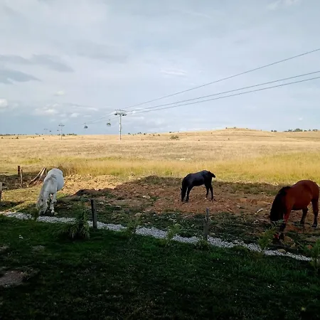 Tornik Manor Zlatibor