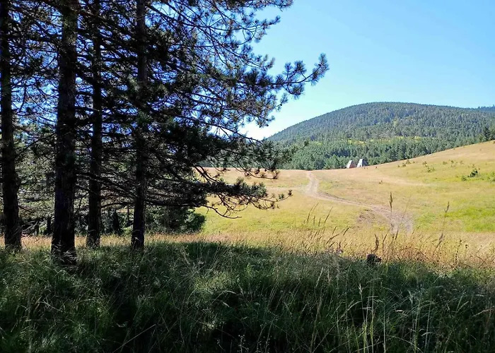 Appartamento Tornik Manor *