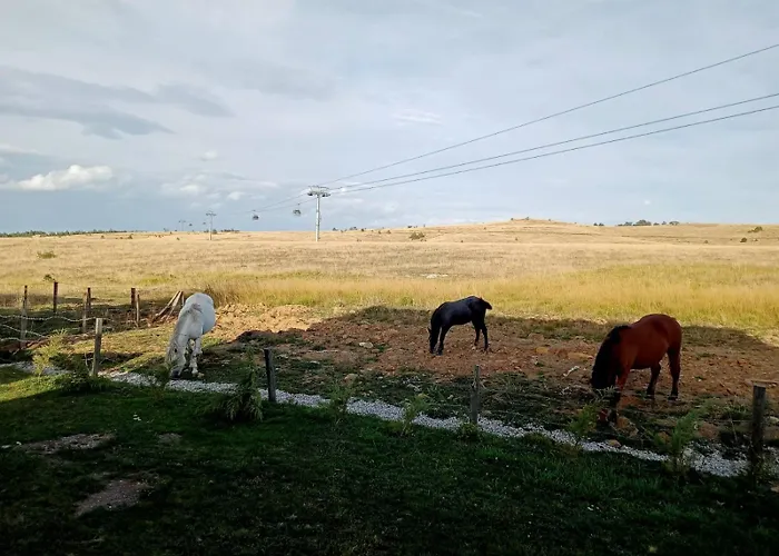Tornik Manor Zlatibor